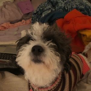 Meet your Posher, Jordan